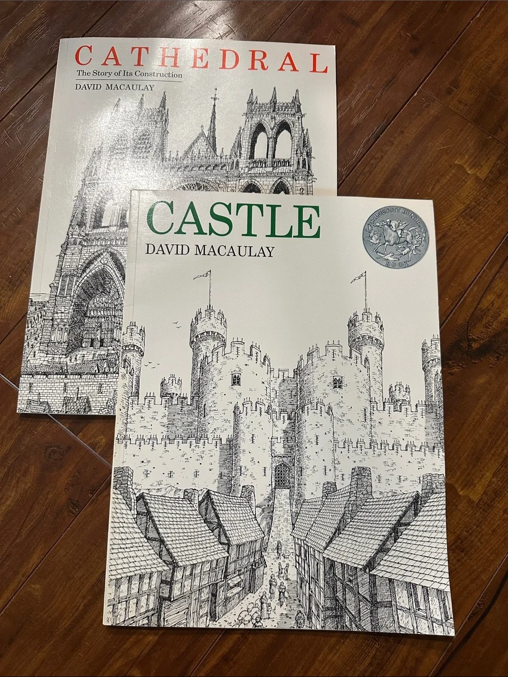 David Macaulay Castle & Cathedral 1989 Trumpet Club Illustrated Book Lot